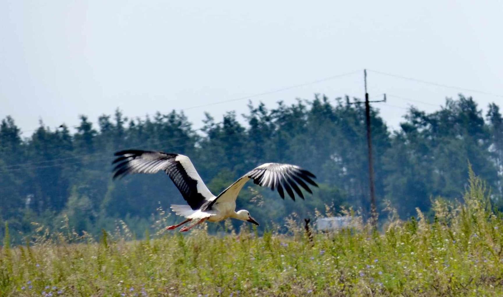 Agroturystyka U Jarka Bryzgiel Dış mekan fotoğraf